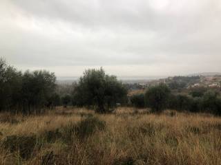 Tuoro sul Trasimeno,  IT