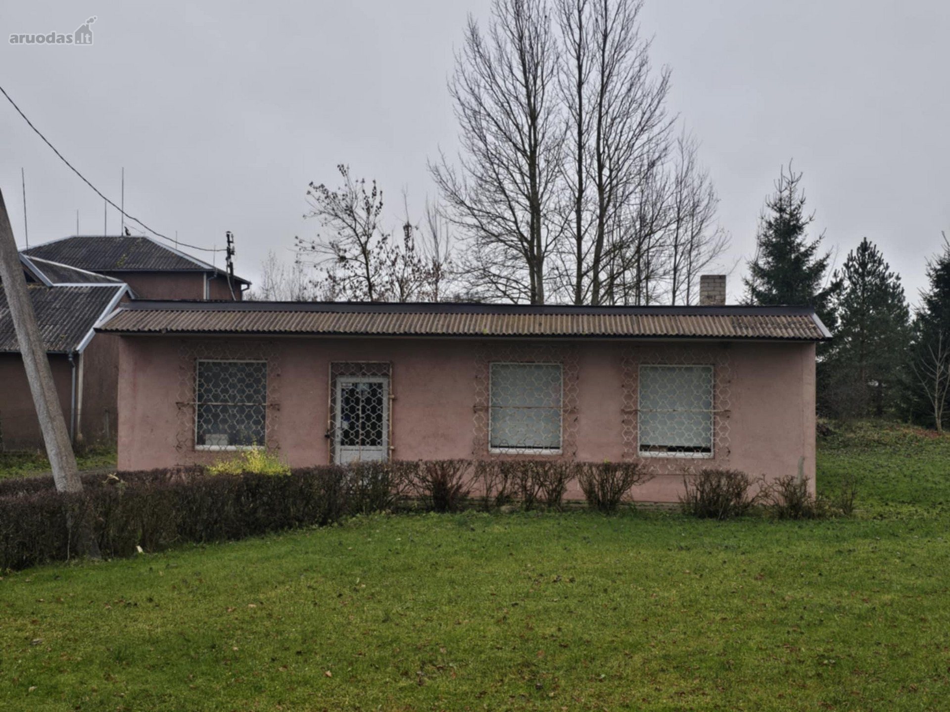 Joniškio r. sav., Jauniūnų k.Ąžuolų g.