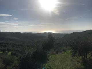 Zacharo,  GR