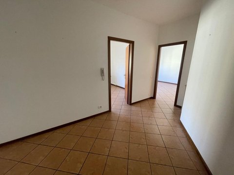 Padua,  IT
