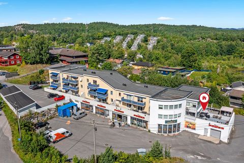 Frydensborgveien 1, Kragerø
