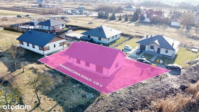 aleja, Tarnobrzeg, podkarpackie