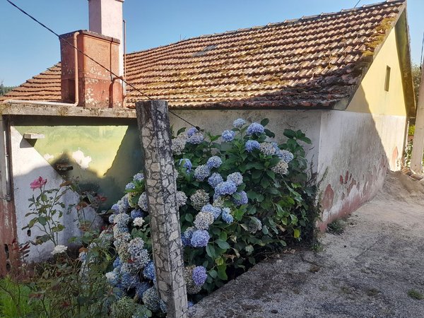 Lourosa,  PT