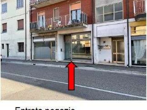 Bovolone,  IT