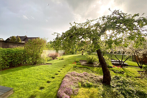 Lääne-Virumaa, Rakvere, Tõru tn 6
