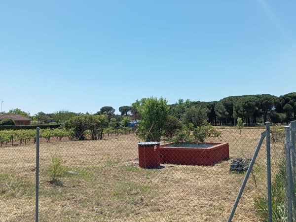 Tudela de Duero,  ES