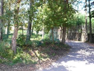 Gondomar,  ES