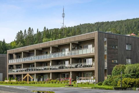 Sagtunet 7, Namsos