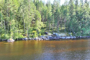 Vekarsalo Kyllölä, Kyllölä, Puumala