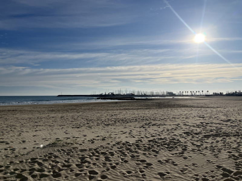 à Palavas-les-Flots (34250)