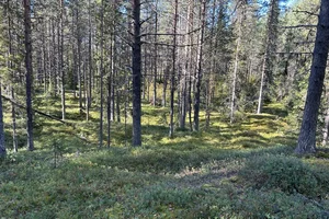 Kuuselantie, Ylläsjärvi, Kolari