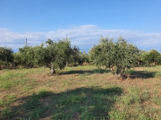 Koroni,  GR