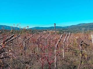 Ponteareas,  ES
