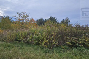 Klonowa
