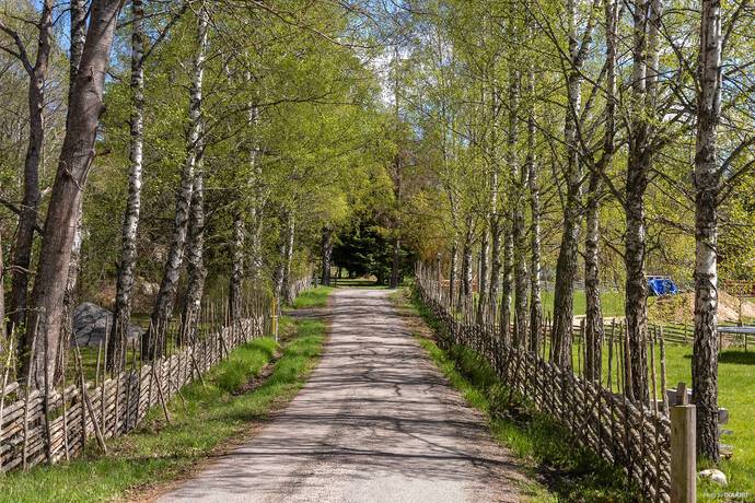 Öregrund, Östhammars kommun