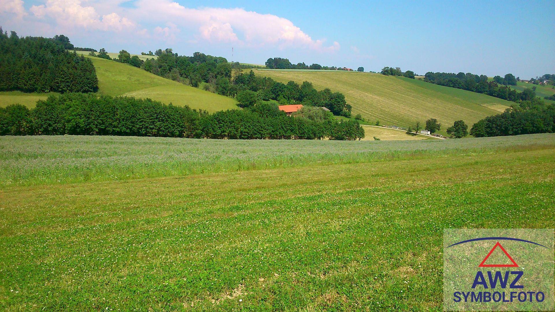7000 Eisenstadt