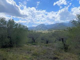 Tortosa,  ES