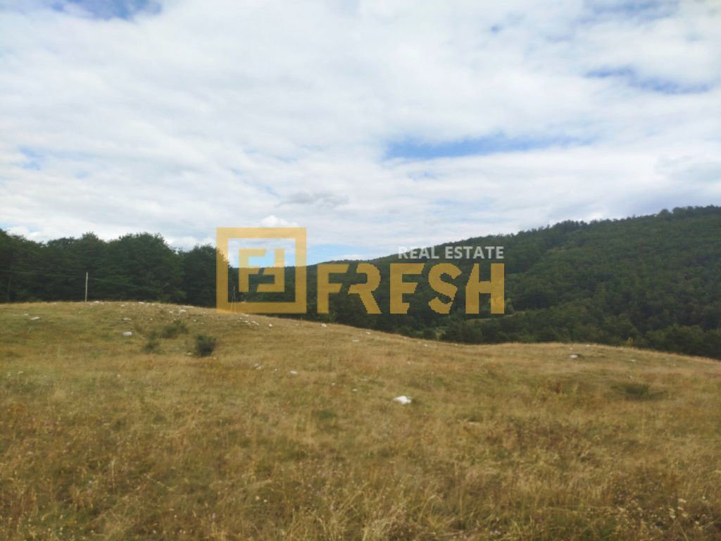 Central Region, Niksic