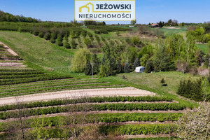Rzeczyca
