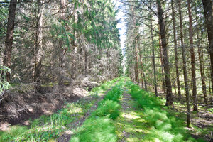 Suonpääntie 46, 01830 Nurmijärvi