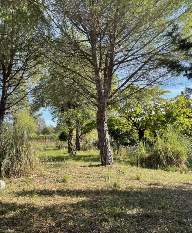 Quartier Courtarelle-Cantagril-Muriers à Castelnau-le-Lez (34170)