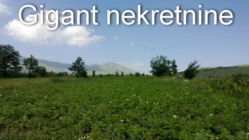 Zajecar District, Sokobanja