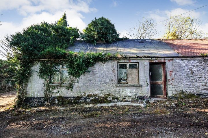 Lot 2, Mullaghmore, Bailieborough Road, Virginia, Co. Cavan