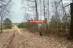 Morawica