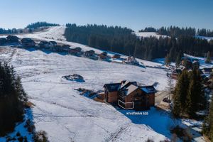 Oravská Lesná (Námestovo)