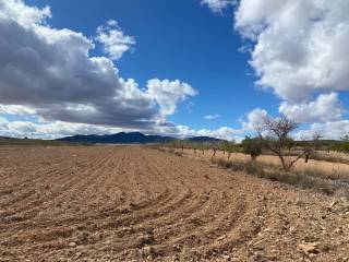 Oria,  ES