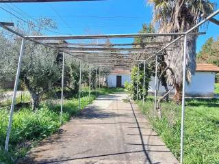 Schimatari,  GR