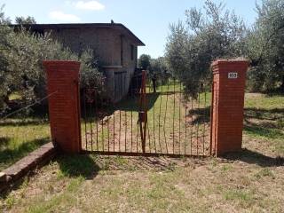 Velletri,  IT
