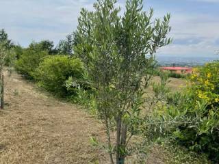 Somma Vesuviana,  IT