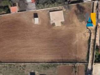 Conil de la Frontera,  ES