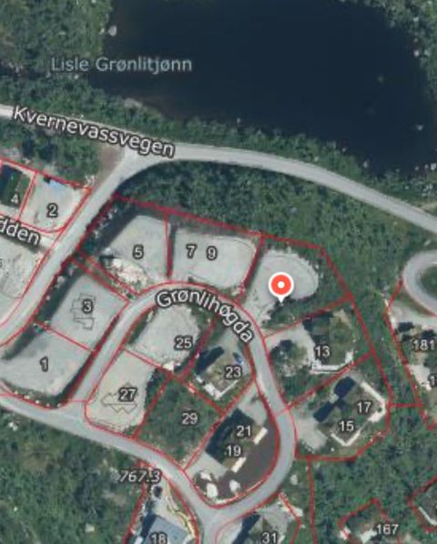 Grønlihøgda 11, Åseral