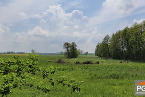 Gryfice