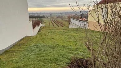 7083 Purbach am Neusiedler See