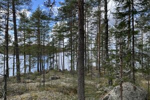 Kirvesvuorentie, Heila, Jämsä