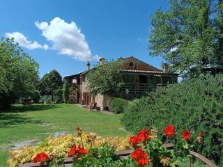 Urbino,  IT