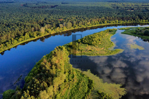 Gnojno