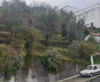 Penacova,  PT