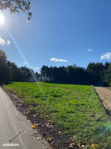 Skierniewice, łódzkie