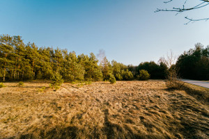 Maków Mazowiecki
