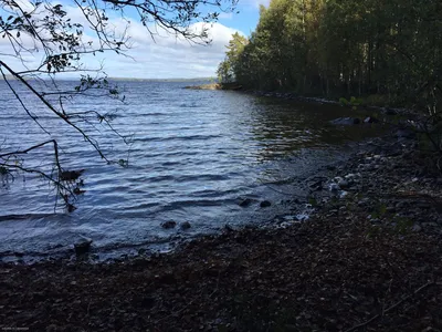 Iso-Juures , Käenmäki, Sysmä