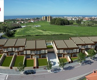 Árvore,  PT