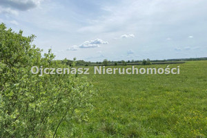 Zamość