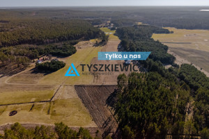 Przewóz