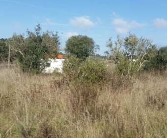 São Marcos da Serra,  PT