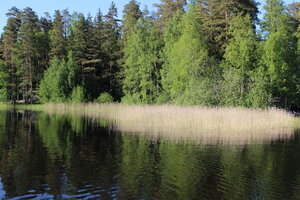 Häyhänniemi, Skinnarila, Lappeenranta