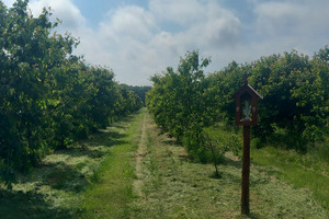 Gostyń